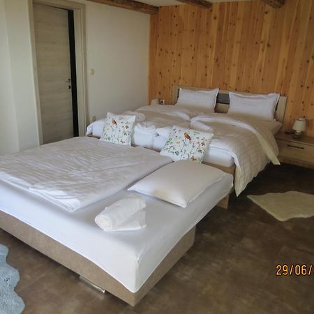 Studio 1111 With Sauna & Hot Tub Dravograd 外观 照片