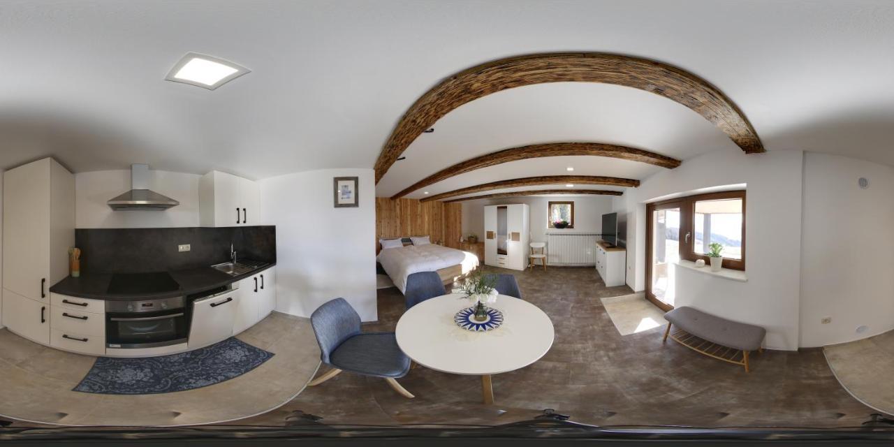 Studio 1111 With Sauna & Hot Tub Dravograd 外观 照片