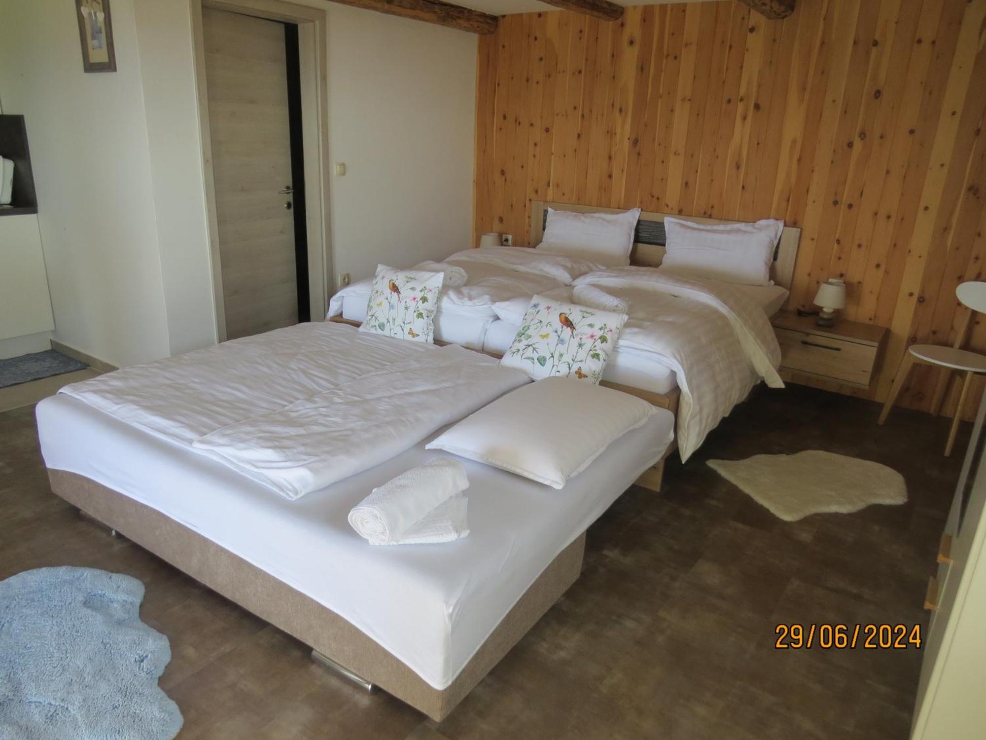 Studio 1111 With Sauna & Hot Tub Dravograd 外观 照片
